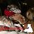 Louise Chronister's profile image