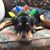 Julie Menard's profile image