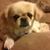 Jean M Hillard's profile image
