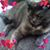 Debra Paterson's profile image