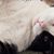 Joy Baumer's profile image