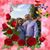 Anita L Fulmer's profile image
