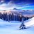 Jenn Sholar's profile image