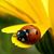 Rosa Cirino's profile image