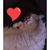 Joan Nixon's profile image
