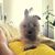 Karen Rayos's profile image