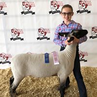 Sara Mickelsen Marks's profile image