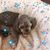 Vicky Miller's profile image