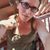 Sarah Ann Stefanich's profile image
