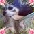 Evelyn Sacco's profile image
