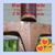 Jim Thompson's profile image