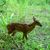 Leslie Hentges's profile image