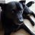 Lisa M. Litterio-Narvaez's profile image