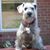 Michele Dosier's profile image
