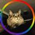 Debra Sudlow Miller's profile image