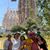 Alison Greenwald Pulte's profile image