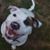 G Todd Rice's profile image