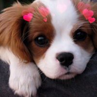 Lola Richardson's profile image