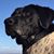 Mike B Cassidy's profile image