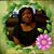 Colleen Holmes's profile image
