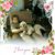 Deborah Ann Pannett Mitzelfeld's profile image