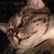 Ashlee Jones's profile image