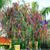 David R. Rodriguez's profile image
