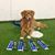 Lori Anderson's profile image