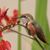 Janel Worden's profile image