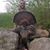 Shane Portice's profile image