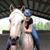 Adrianne D'Amato's profile image