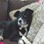 Mark P. Cornellier's profile image