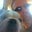Marty Carlson's profile image