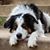 Pamela Johnson's profile image