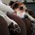 Joe Weatherington's profile image