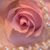 Estela Murillo's profile image