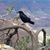 Margo Richardson's profile image