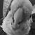 Scott Ayres's profile image