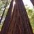 Diana Stewart Haugk's profile image