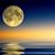 Theresa Maynard's profile image