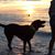 Kathie Loris's profile image