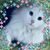 Susan Marlo Johnson's profile image