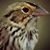 MArlan Cherryl's profile image