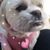 Sher Najera Diego's profile image