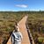 Katherine Albert Read's profile image