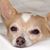 Mary Reynolds's profile image