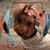 Linda Pilarowski-Hargrove's profile image