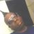 Ralph Tunstell's profile image