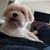 Sandy Bernard's profile image