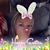 Cheryl Wilson Jenkins's profile image